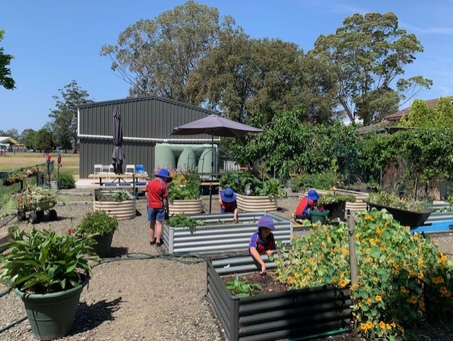 students in school vegetable garden